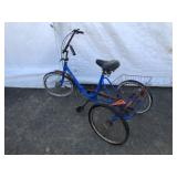 Adult Tricycle
