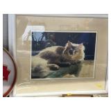 Framed Print of Cat