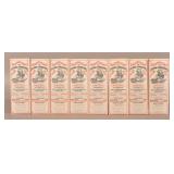 8 Dummy Packages Zoagraine Asthma