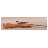 Glenfield Mod. 25 .22 Bolt Action Rifle