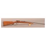 Hawthorne Sentry .22 LR Bolt Action Rifle