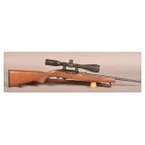 Ruger 10/22 .22 LR Rifle