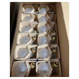 (24) 100W Light Bulbs