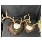 Cast Iron Skillet with Antlers