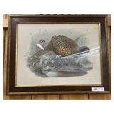 Framed Lithograph of Pheasant
