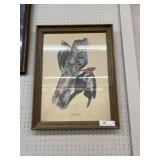 Tom Dunnington Framed Print of Woodpeckers