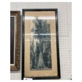 Framed Photograph of Sequoia National Park