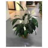 Artificial Plant