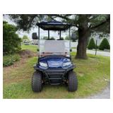 2025 Icon G40L Golf Cart