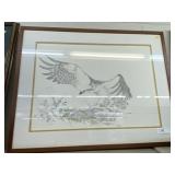 Framed Print of Hawk