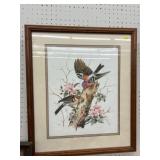 Signed Bird Print