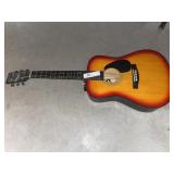 New York Pro Acoustic Guitar