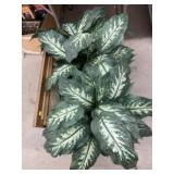 Artificial Plant with Framed Goods