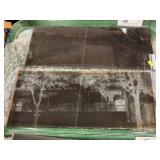 (2) Rocky Springs (Lancaster, PA) Glass Negatives