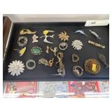 Costume Jewelry Pins