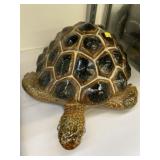 Ceramic Garden Turtle