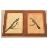 2 Hand-Colored 19th C. Drawings by J.W. Whatman