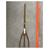 Young Miniature Pitch Fork