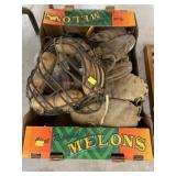 Vintage Baseball Equipment