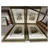 (4) Framed Bird Prints