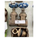 2" Brass Valves and Adaptor