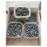 Carriage Bolts and Screws