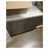 2 Door Storage Cabinet