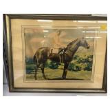 Framed Print of Jockey