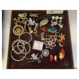 Costume Jewelry  and Pins