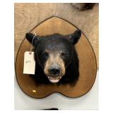 Taxidermy Black Bear