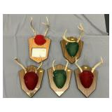 Mounted Whitetail Deer Antlers
