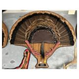 Mounted Wild Turkey Fan