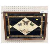 Framed Butterflies
