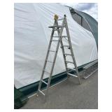 Aluminum Ladder