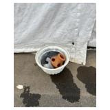 Flower Pot & Garden Ornaments