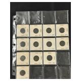 (24) Indian Head Pennies