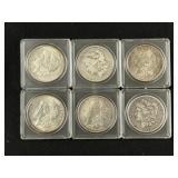 (6) Morgans