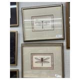 (2) Framed Insect Prints