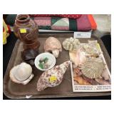 Seashells, Vase, Figurines