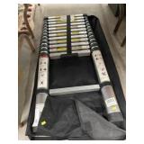 Telescoping Ladder