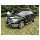 2013 Ford F-150 Eco Boost
