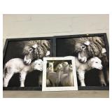 3 Framed Sheep & Alpaca Prints