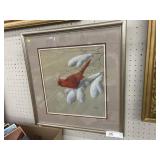Framed Print of Cardinal