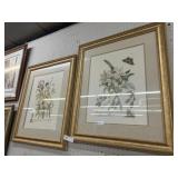 2 Framed Floral Prints