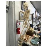 Plastic Skeleton