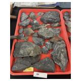 Asst. of Fossils