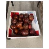 Asst of Wooden Apples