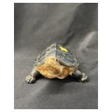 Ceramic Lifelike Box Shell Turtle