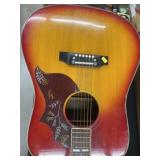 Ibanez Concord Acoustic Guitar