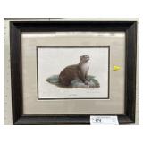 Framed Print of Otter